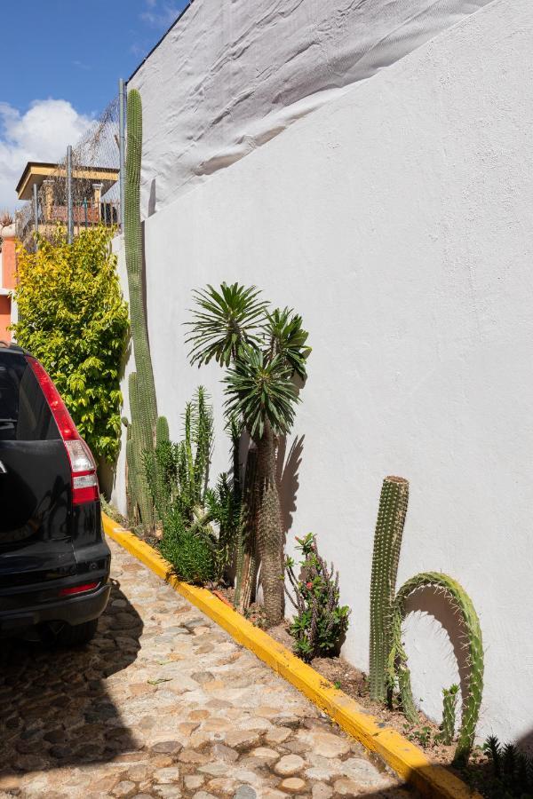 Apartamento Siento Oaxaca Exterior foto